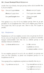 8E_C2_annexe4_image3